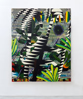 Bruno 9li - Na subida da cachoeira, 2019