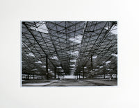 Untitled, 2009