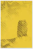Owl poster, 2011