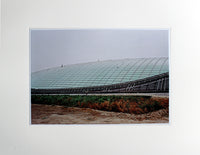Untitled, 2009